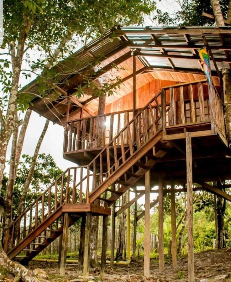 Hotel Karupa Amazonas Leticia Eksteriør billede