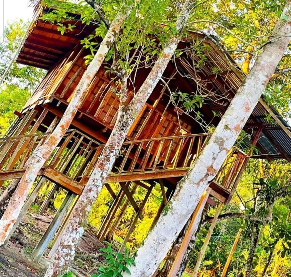 Hotel Karupa Amazonas Leticia Eksteriør billede