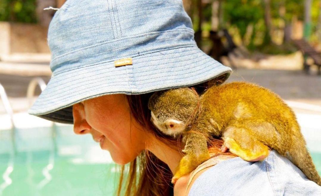 Hotel Karupa Amazonas Leticia Eksteriør billede