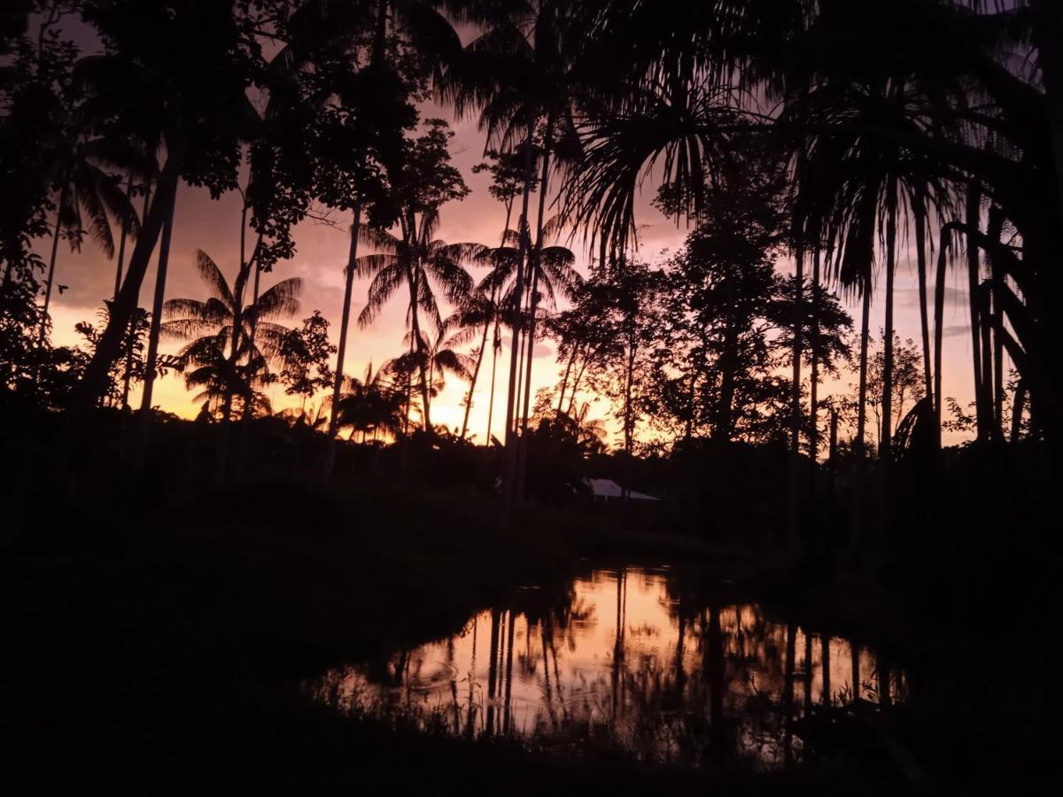 Hotel Karupa Amazonas Leticia Eksteriør billede