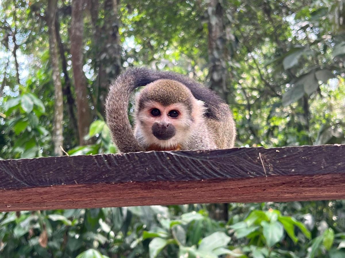 Hotel Karupa Amazonas Leticia Eksteriør billede